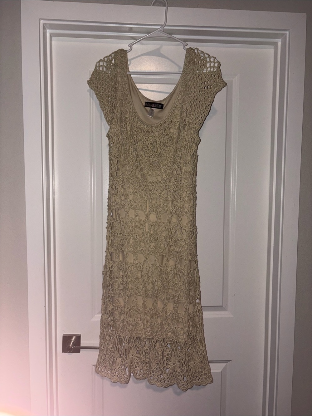 The Pyramid Collection Beige Crochet Overlay Dress